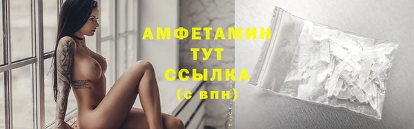 сатива Армянск