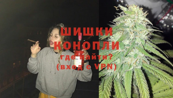 сатива Армянск