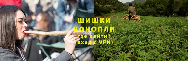 гашик Белоозёрский