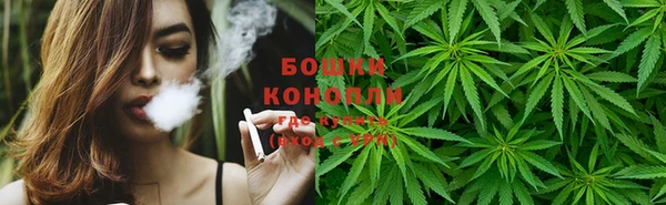 гашик Белоозёрский