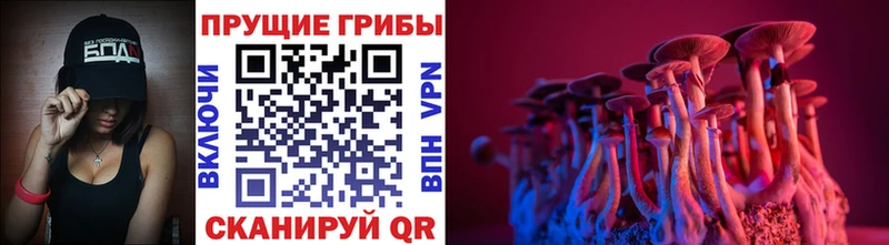 ссылка на мегу рабочий сайт  Верхняя Салда  Псилоцибиновые грибы GOLDEN TEACHER 