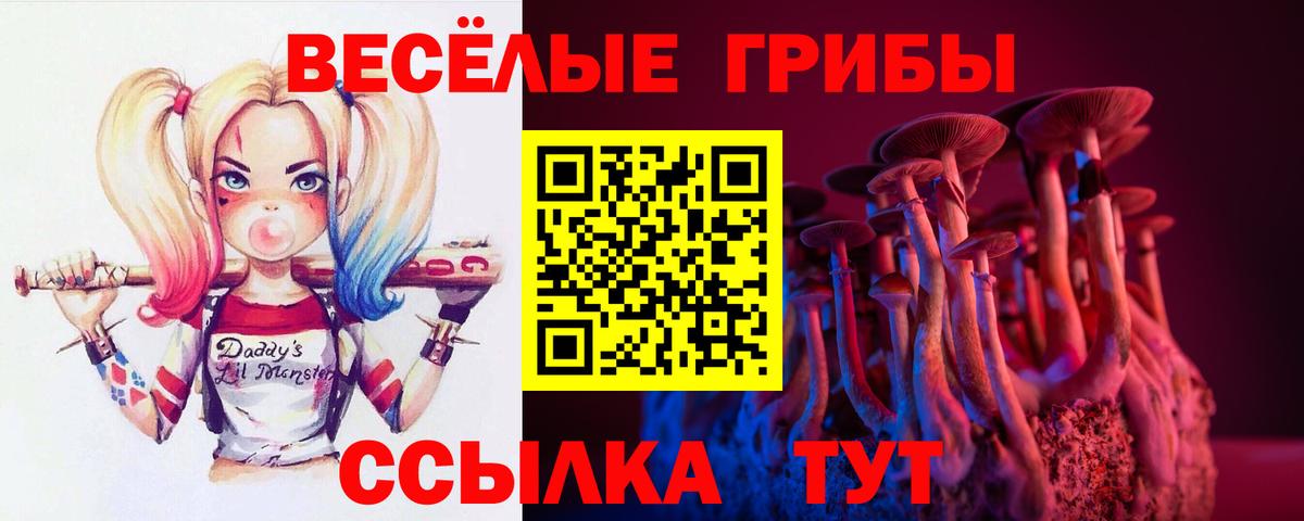 Псилоцибиновые грибы Psilocybe Верхняя Салда
