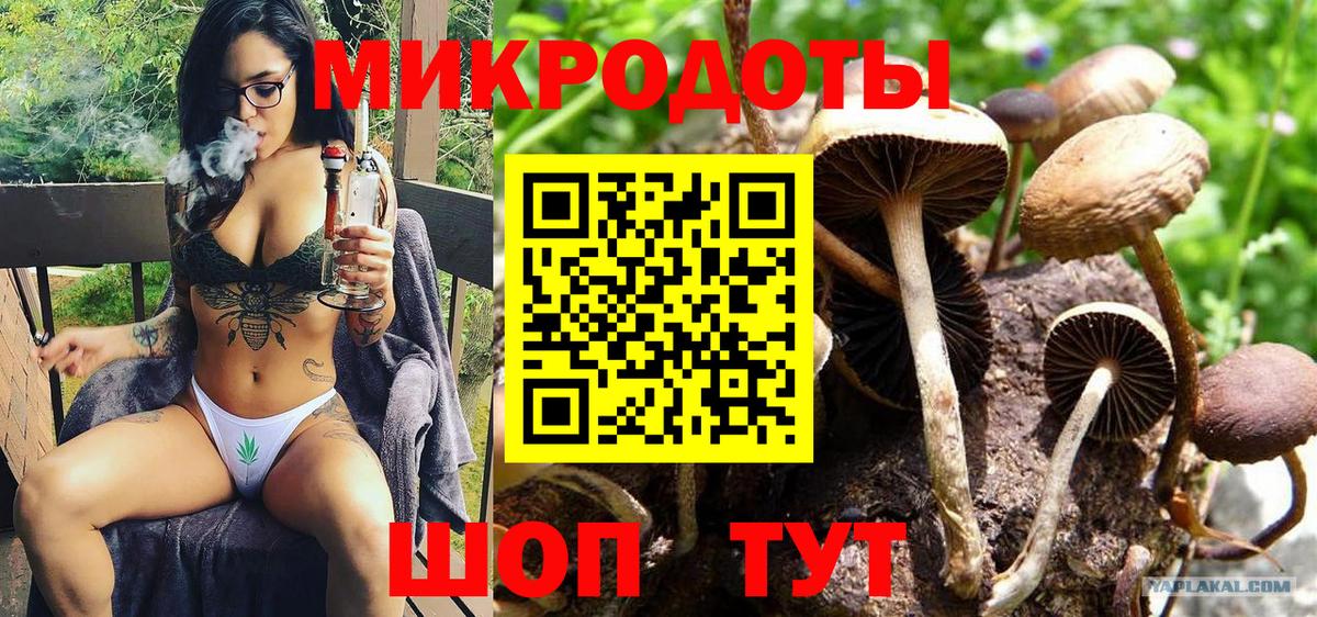 Псилоцибиновые грибы мухоморы  Вход с VPN  Верхняя Салда  Псилоцибиновые грибы Psilocybe 
