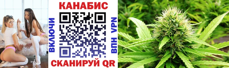 Канабис White Widow  Верхняя Салда 